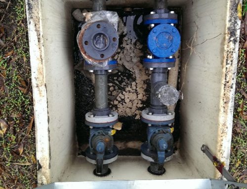 How a Septic System Works: Up Close and Personal